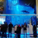 IMG 20200205 WA0018